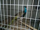 DSCN0792