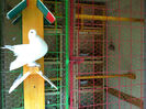 2013-03-16 13.35.03