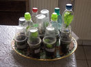 DSCN7277_2755