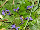 DSCN5673