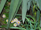 DSCN5679