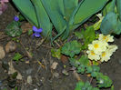 DSCN5683