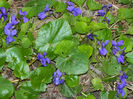 DSCN5697