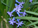 DSCN5727