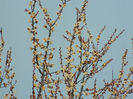 DSCN5641