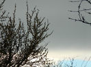 DSCN5651