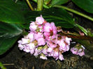 DSCN5653
