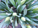 DSCN2838