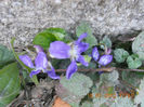 DSCN2839