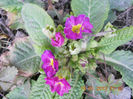 DSCN2842