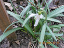 DSCN2845