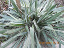 DSCN2847