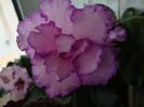 DSC06789