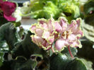 DSC06806