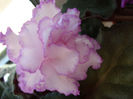 DSC06807