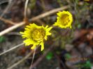 IMG_1219