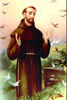 Sf. Francisc