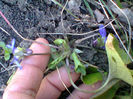 Fotogr.0257