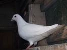 pozeee 027