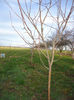 DSC03093