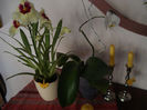 DSC07976