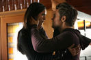 Stelena (4)