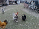 P21-03-13_13.30[03]
