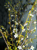 DSCN5827