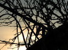 DSCN5845