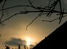 DSCN5846