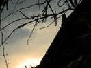 DSCN5848