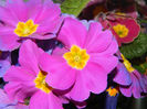 DSCN5853