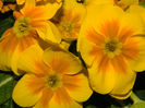 DSCN5856