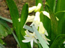 DSCN5863