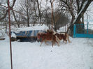 SAM_3062