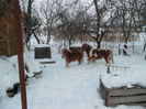 SAM_3063