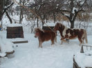 SAM_3074
