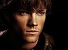 ღSamღ