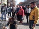 ASA SE CRESC IEPURARII