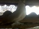 IMG00557-20130323-1743