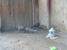 SANY0015