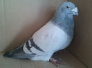 Copy (2) of IMG1476