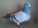 Copy (2) of IMG1446