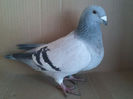 Copy (2) of IMG1447