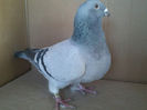 Copy (3) of IMG1461