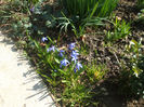 DSCF0187