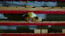 vlcsnap-00184