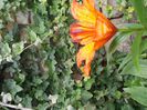 DSCN3861