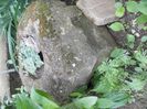 DSCN3909