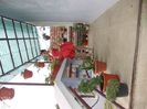DSCN3917